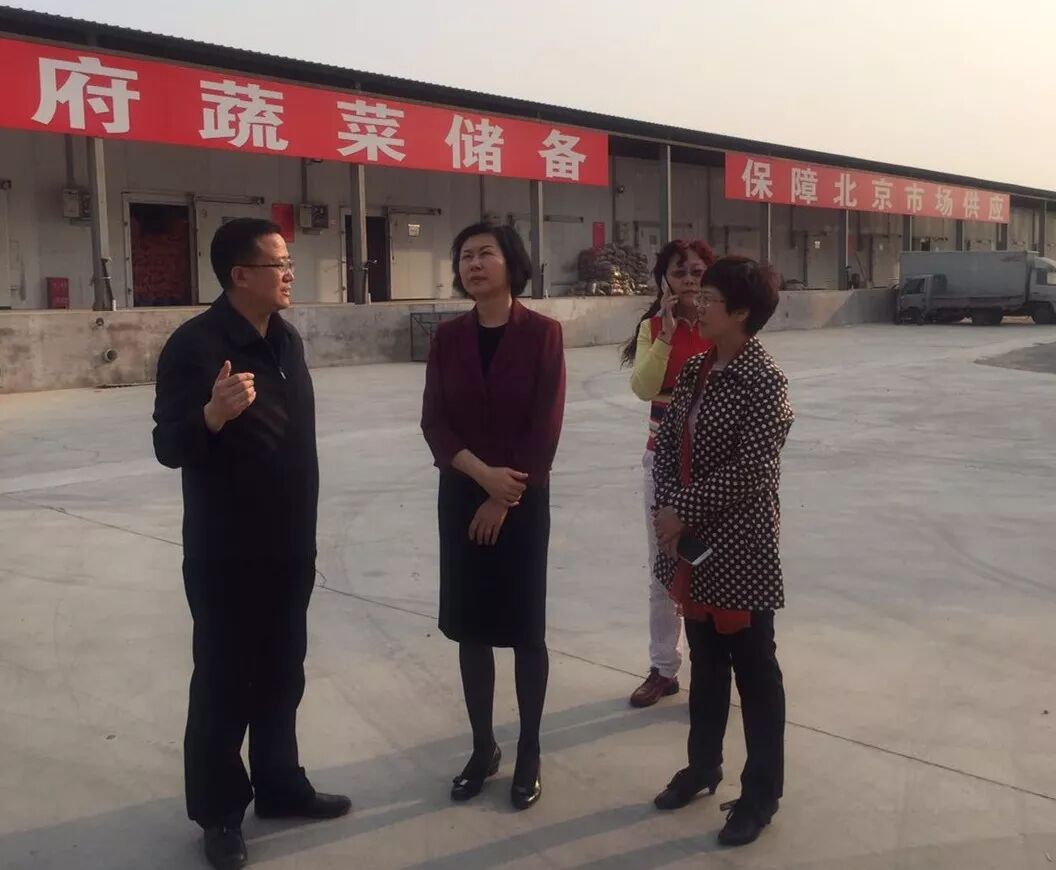 陇原女经纪人土特产品推广_新发地武威农产品批发市场_甘肃省妇联对接新发地农产品产销