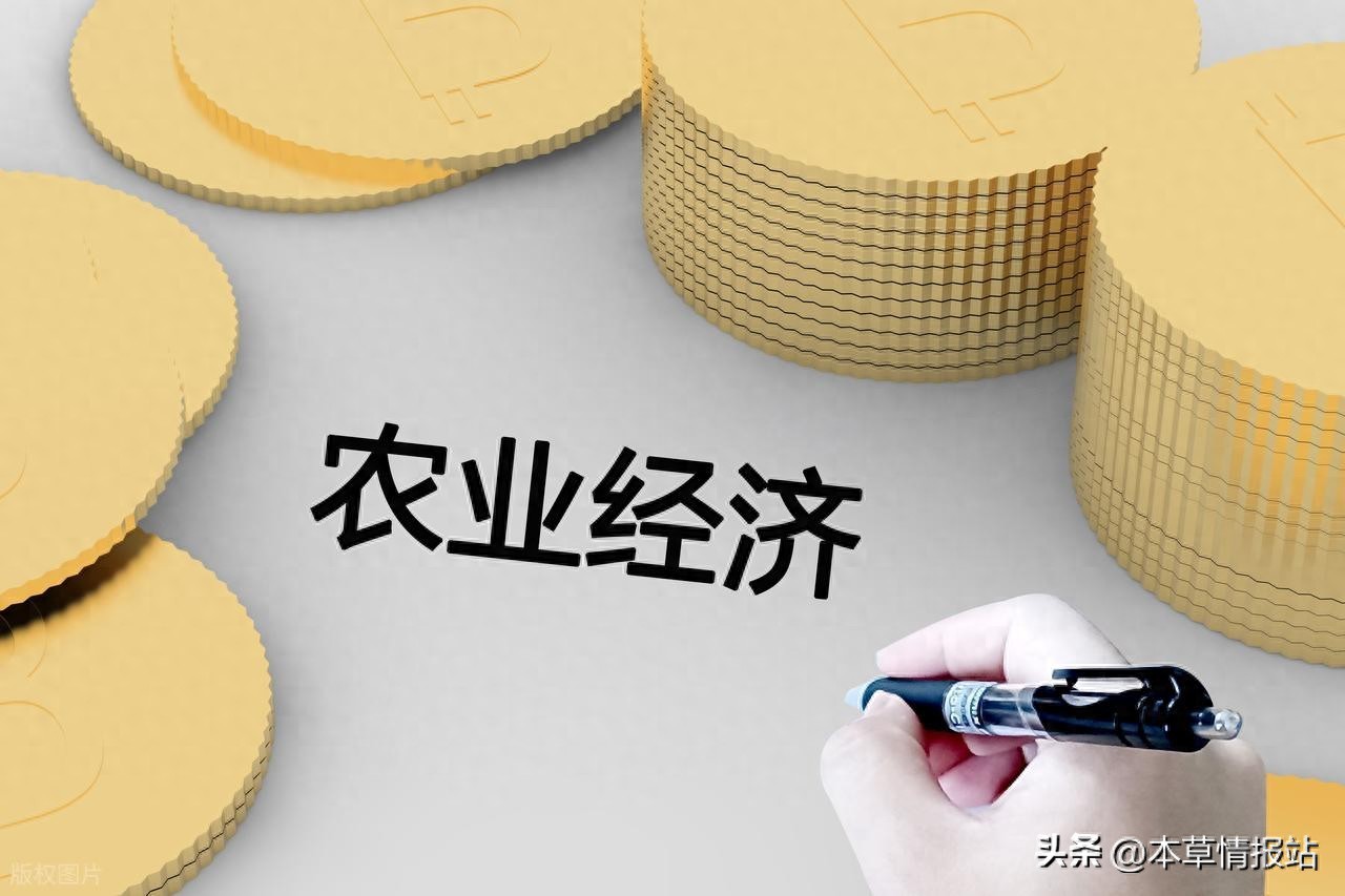 农业创业方向_如何加快农产品精深加工_稻蛙共生模式