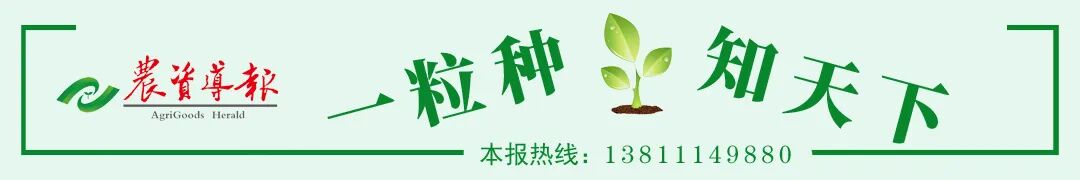 科技如何全方位赋能蔬菜产业，加快其从规模扩张到质量提升跨越？