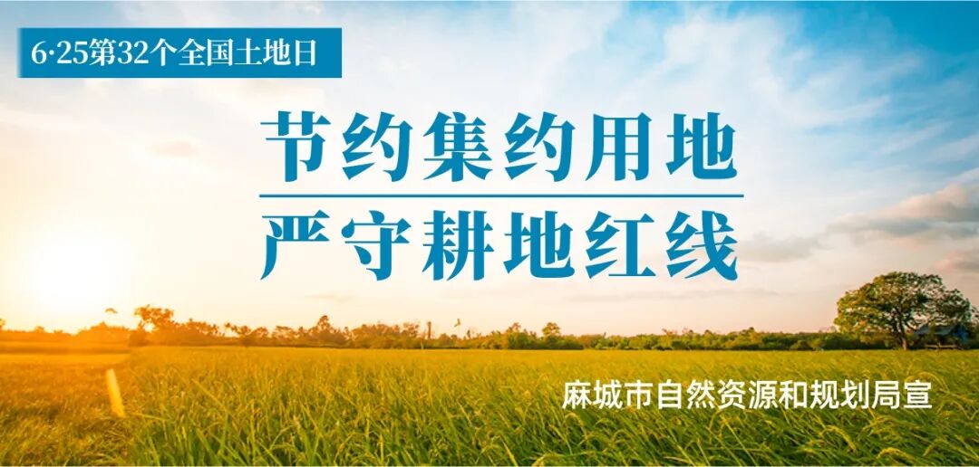 农产品 物流_菊花产业供应链_石材产业物流发展