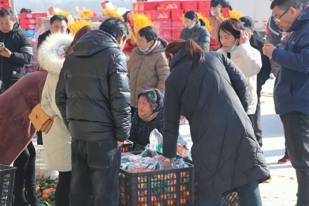 农产品 物流_厚疆集团农产品物流转型升级_万邦洛阳国际农产品批发市场