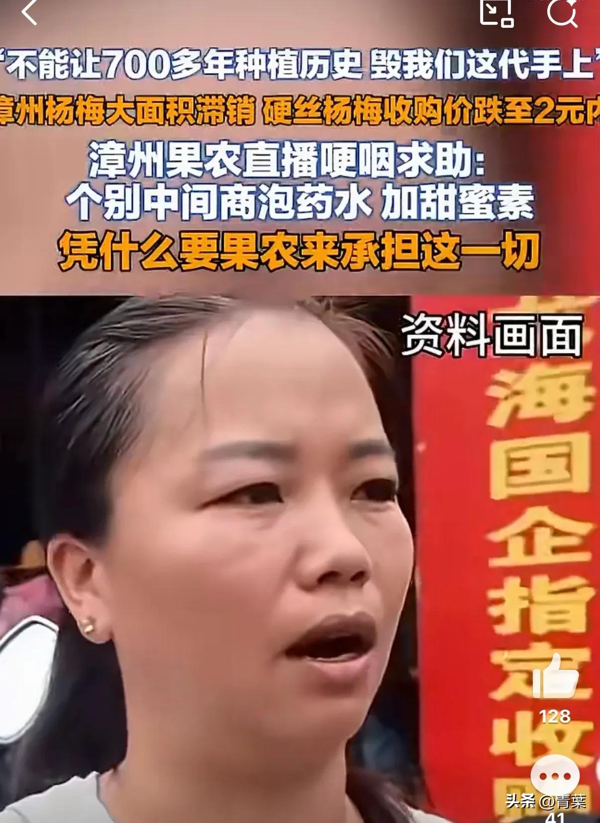 农产品滞销的原因_杨梅产业被毁中间商贪婪_漳州杨梅直播求助