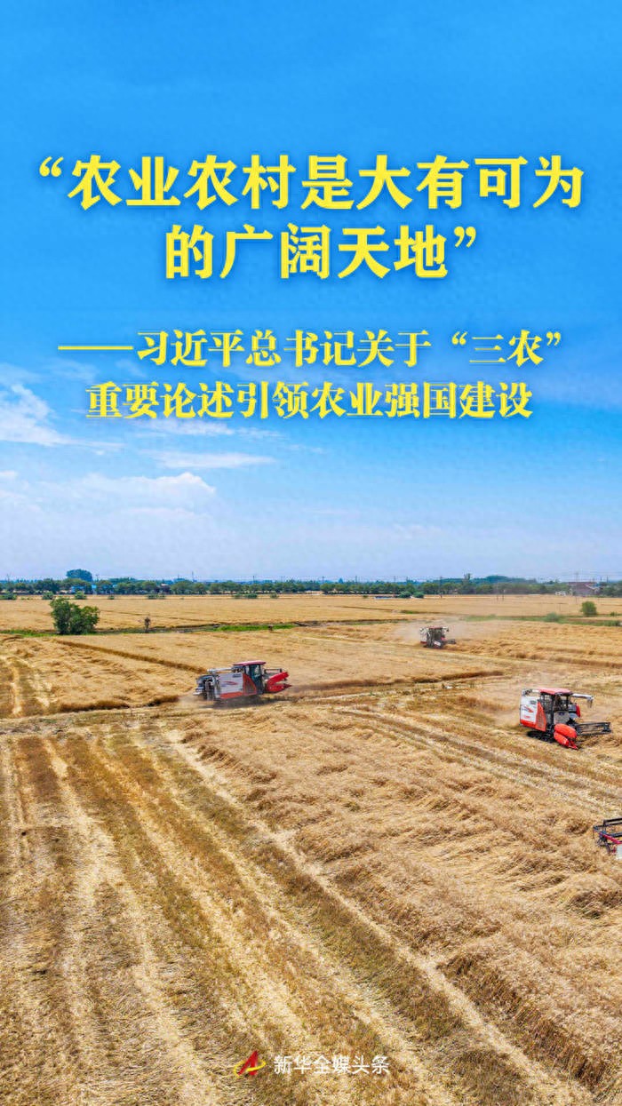 农产品公司发展规划：三夏丰收启示农业强国新机遇