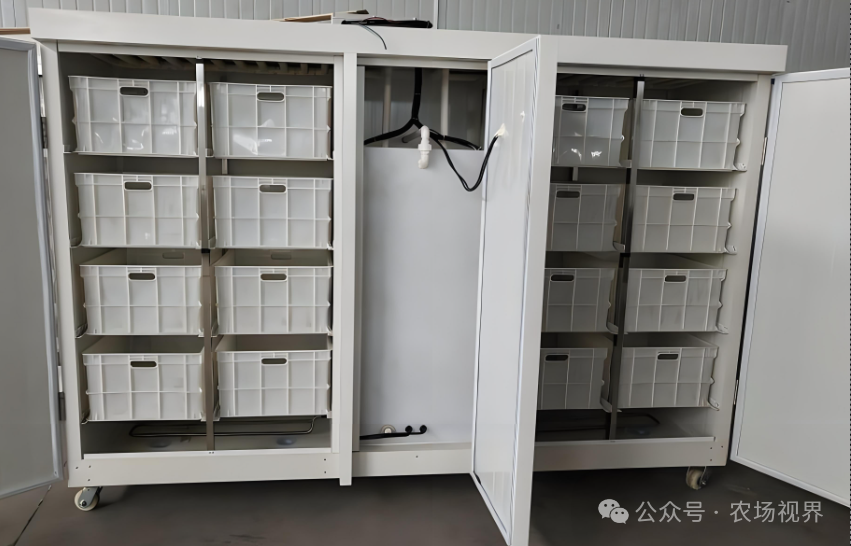 手工豆芽制作方法_豆芽加工创业_10万元投资什么农产品可以有利润