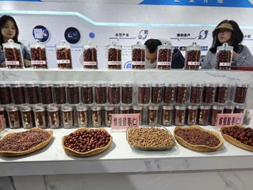 陕北有哪些可以深加工的农产品_榆林清涧县农业产业项目_清涧县乡村振兴连翘酸枣产业发展模式