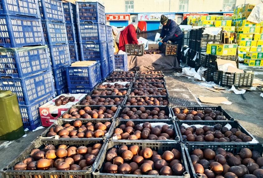 黑龙江农产品集散地_哈尔滨哈达市场 春节农产品供应 哈尔滨民生商品集散地