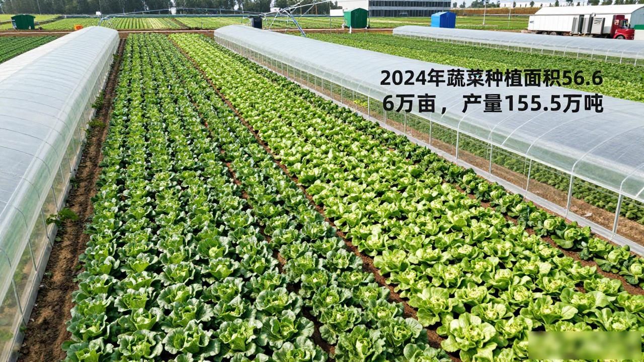 哈尔滨市粮食产量_哈尔滨市农业现代化发展_黑龙江农产品集散地