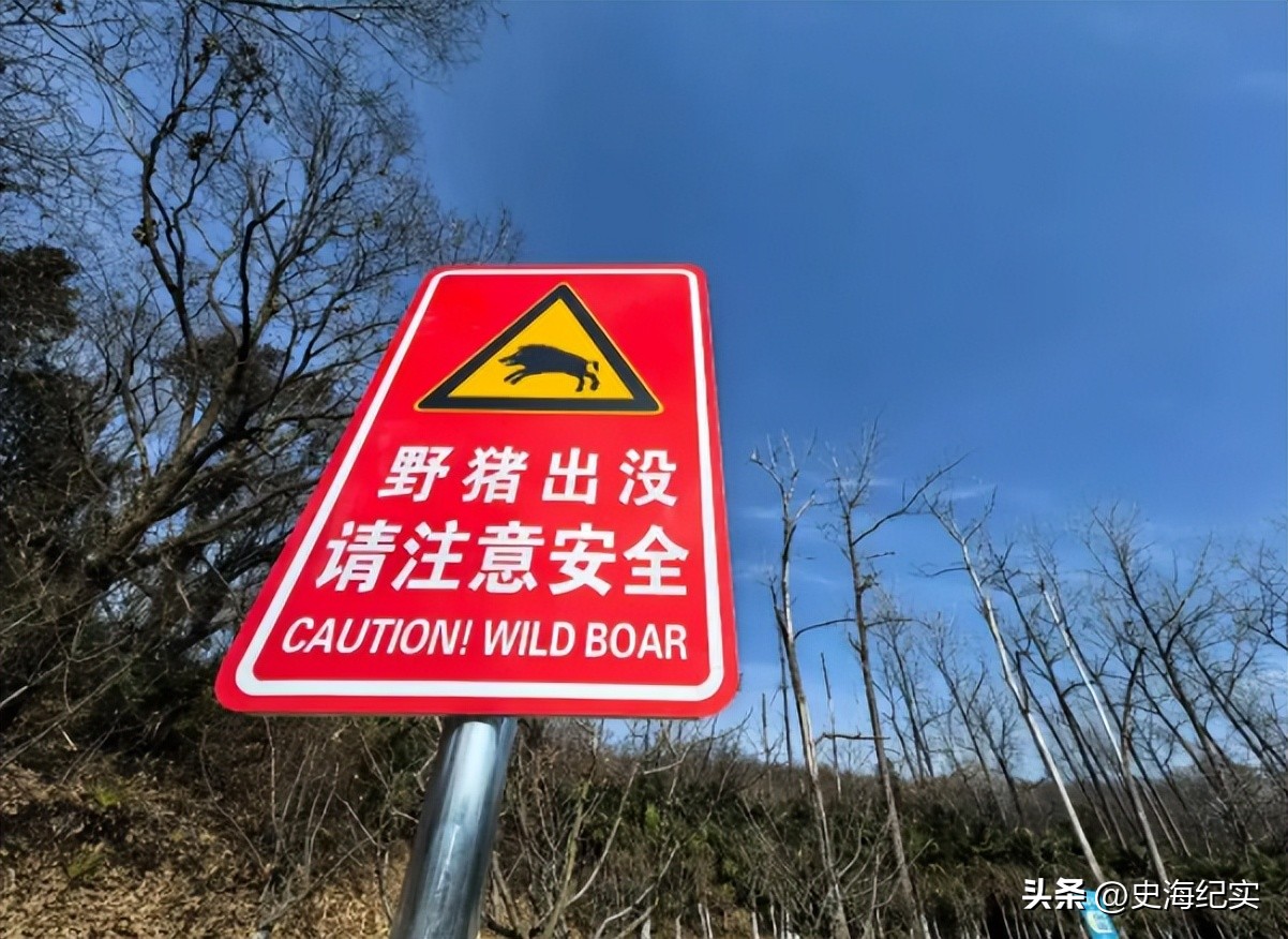 菲律宾农产品_菲律宾农业部长求中国别断化肥_中国制裁菲律宾特奥多罗及其亲属