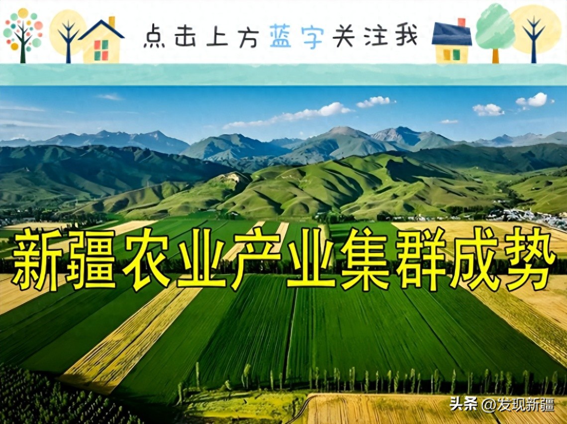 特色农产品开发_新疆东西部经济研究院_新疆农业产业集群发展