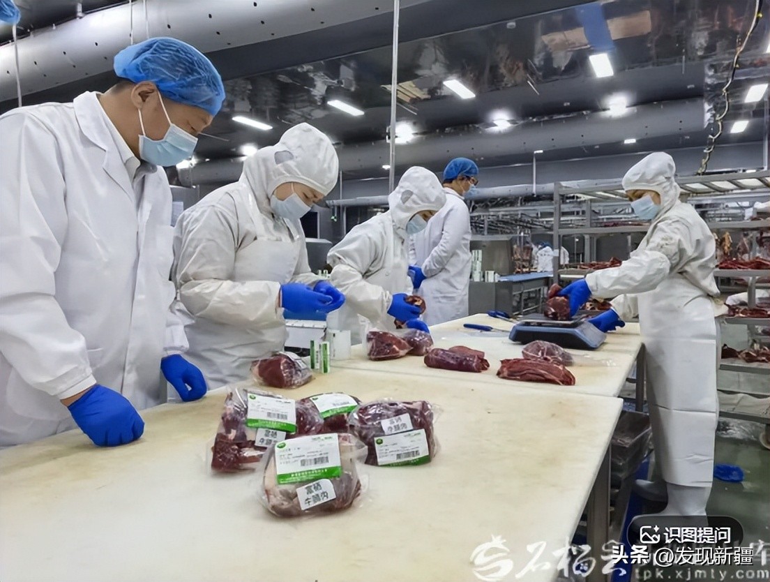 新疆农业产业集群发展_特色农产品开发_新疆东西部经济研究院