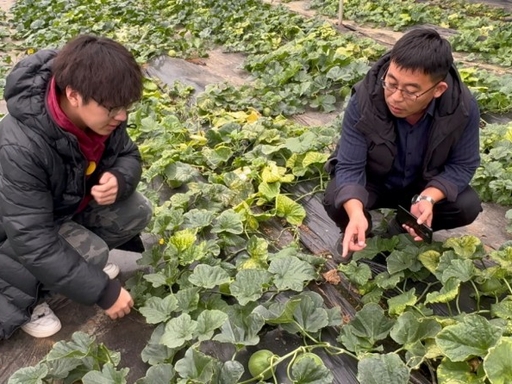 未来中国发展引擎农村_特色农产品开发_农民节激活城乡共兴新动能
