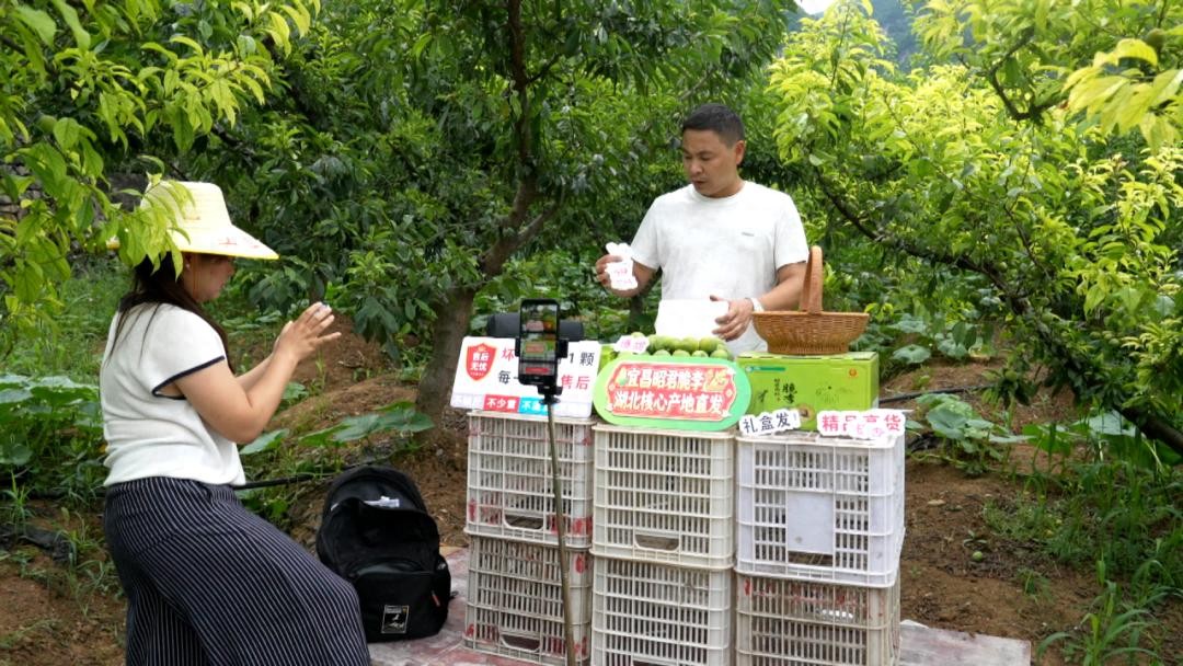社区团购短视频直播_农产品销售策略_淘宝卖农产品