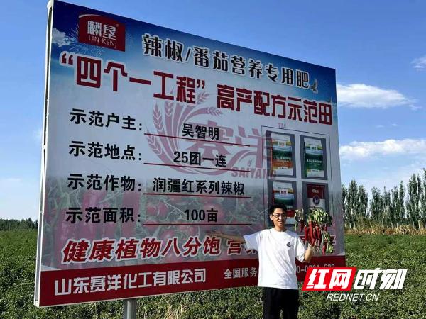 湖南农业大学 工业辣椒 种业创新_新疆 特色农产品产值 加工辣椒