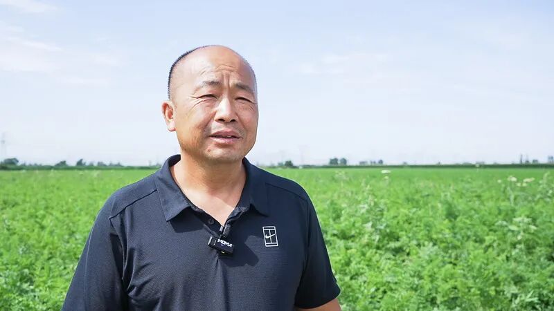 绿色蔬菜种植_高新区农产品平价直销店_绿色食品认证