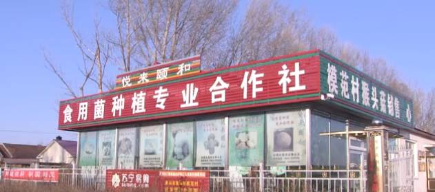 农产品直销网_悦来颐和食用菌种植专业合作社品牌建设_海林市特色农产品电商营销