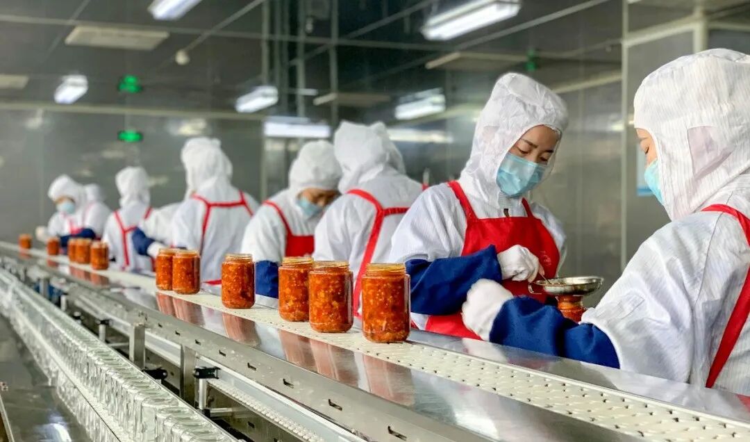 遵义辣椒品种创新_中国辣椒城遵义辣椒种植面积_新疆 特色农产品产值 加工辣椒