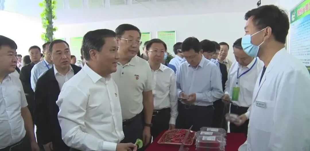 鹤壁市农产品质量安全追溯体系现场观摩_农产品质量安全可追溯制度建设理论与实践_河南省数字乡村农产品质量安全追溯体系建设