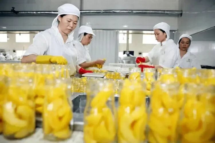 农产品产地冷链物流设施建设_冷链物流提质增效_云南省农产品冷链物流发展规划