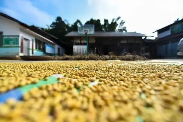云南省农产品冷链物流发展规划_农产品产地冷链物流设施建设_冷链物流提质增效