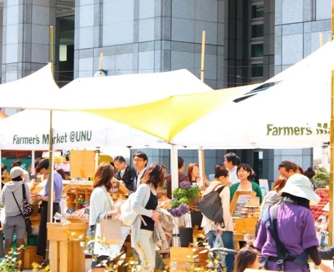 如何卖农产品_地摊经济 扶持政策 电商支持