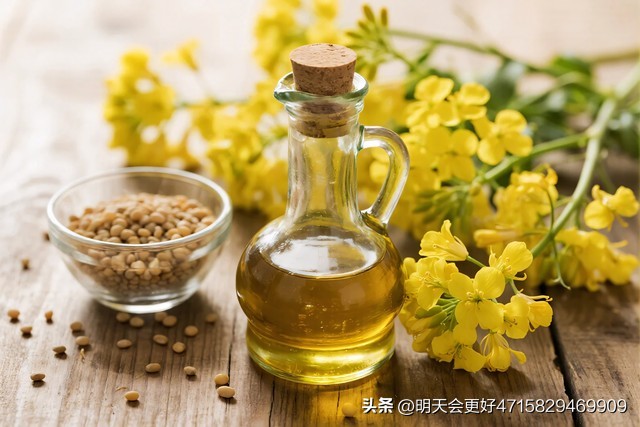 现货农产品代理_菜籽油价格走势_菜籽进口到港量