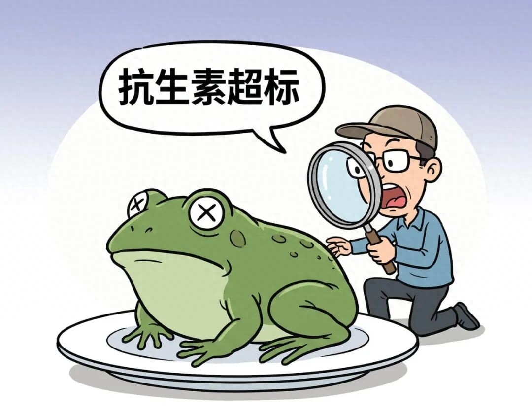 抗生素超标牛蛙产销链治理_农产品检测制度_食品安全全链条监管