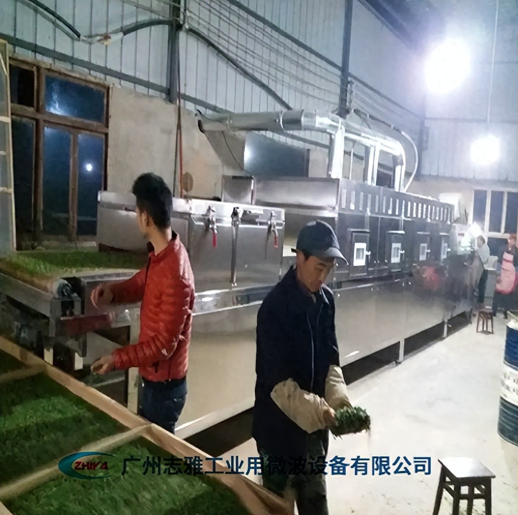 隧道式微波杀青机_微波杀青设备_农产品初加工项目