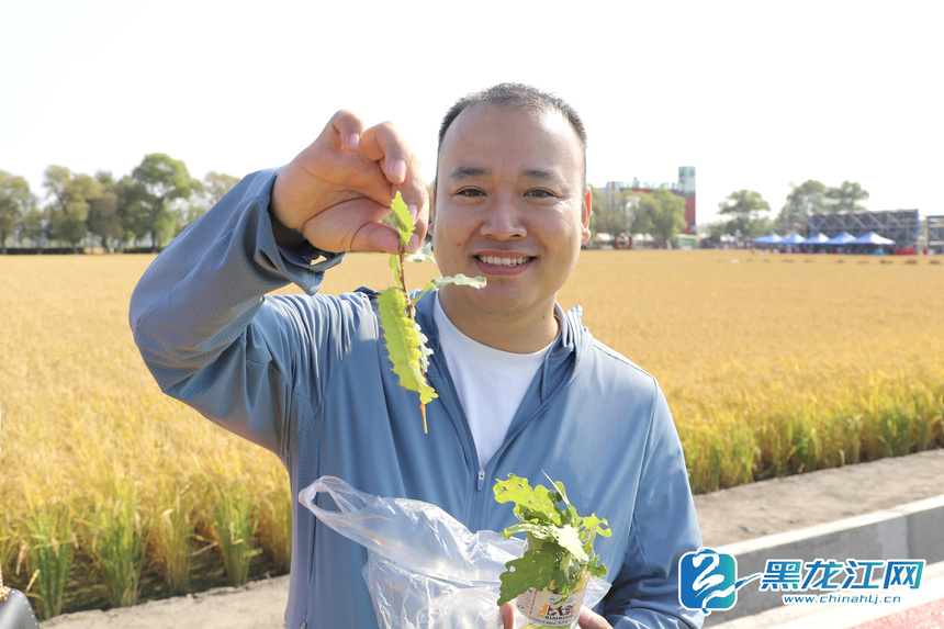 北大荒食品集团农产品直播带货_闫家岗农场七彩大道黑土优品展销_农产品销售网
