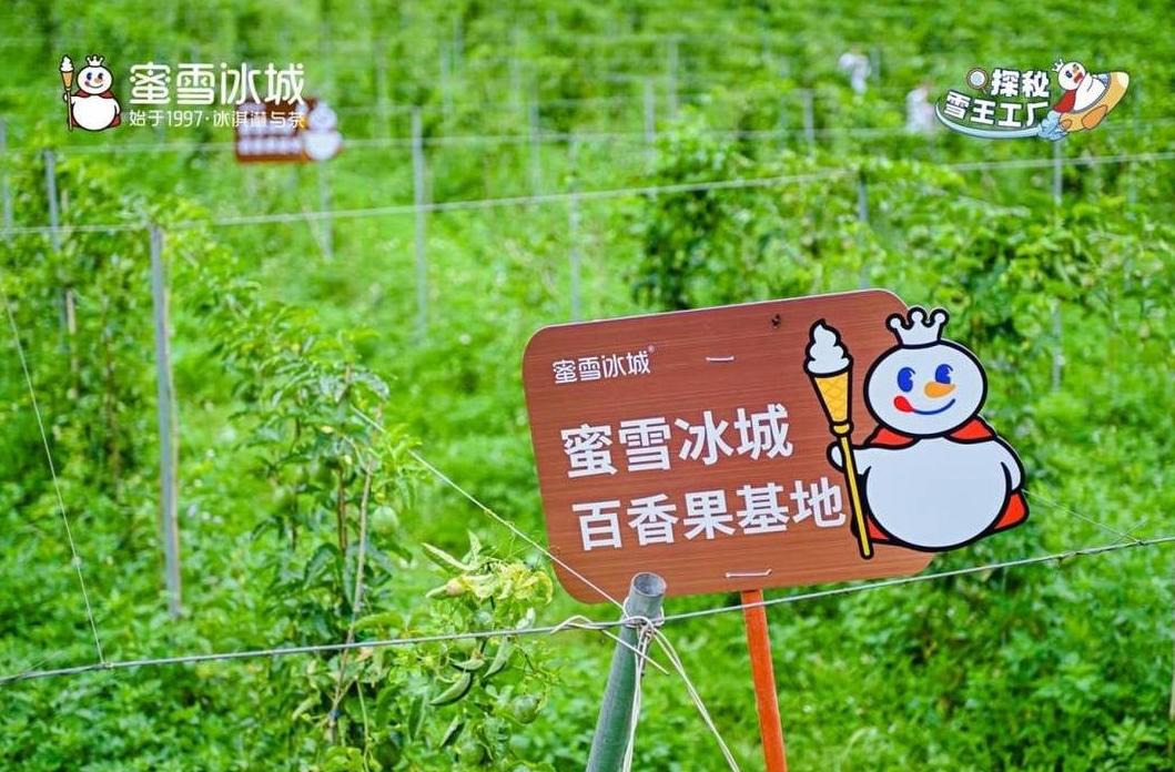 河北省农产品商标注册_一产托底二产增值三产变现_农产品品牌化