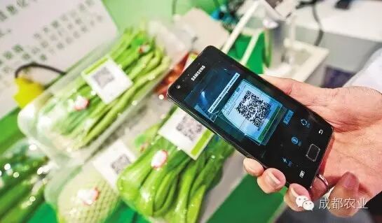 全国统一的追溯管理信息平台_农产品质量安全追溯体系建设_农产品信息平台
