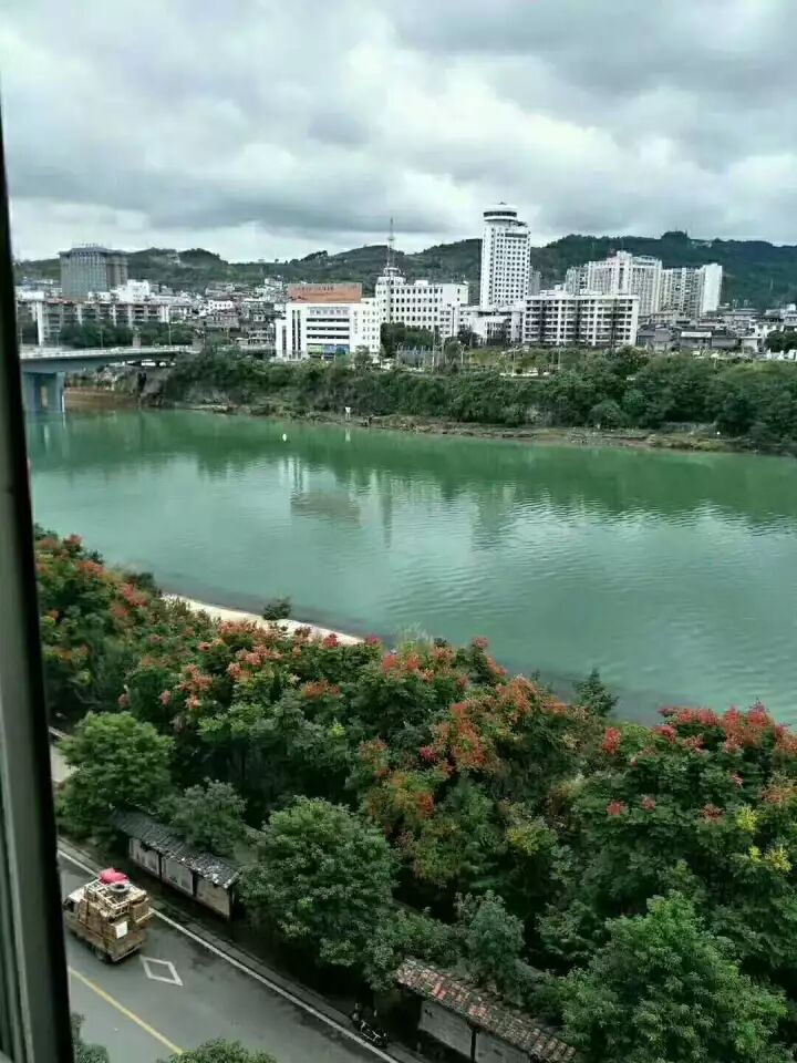 食用农产品质量安全快速检测体系_张家界市食用农产品每日快速检测_农产品检测项目