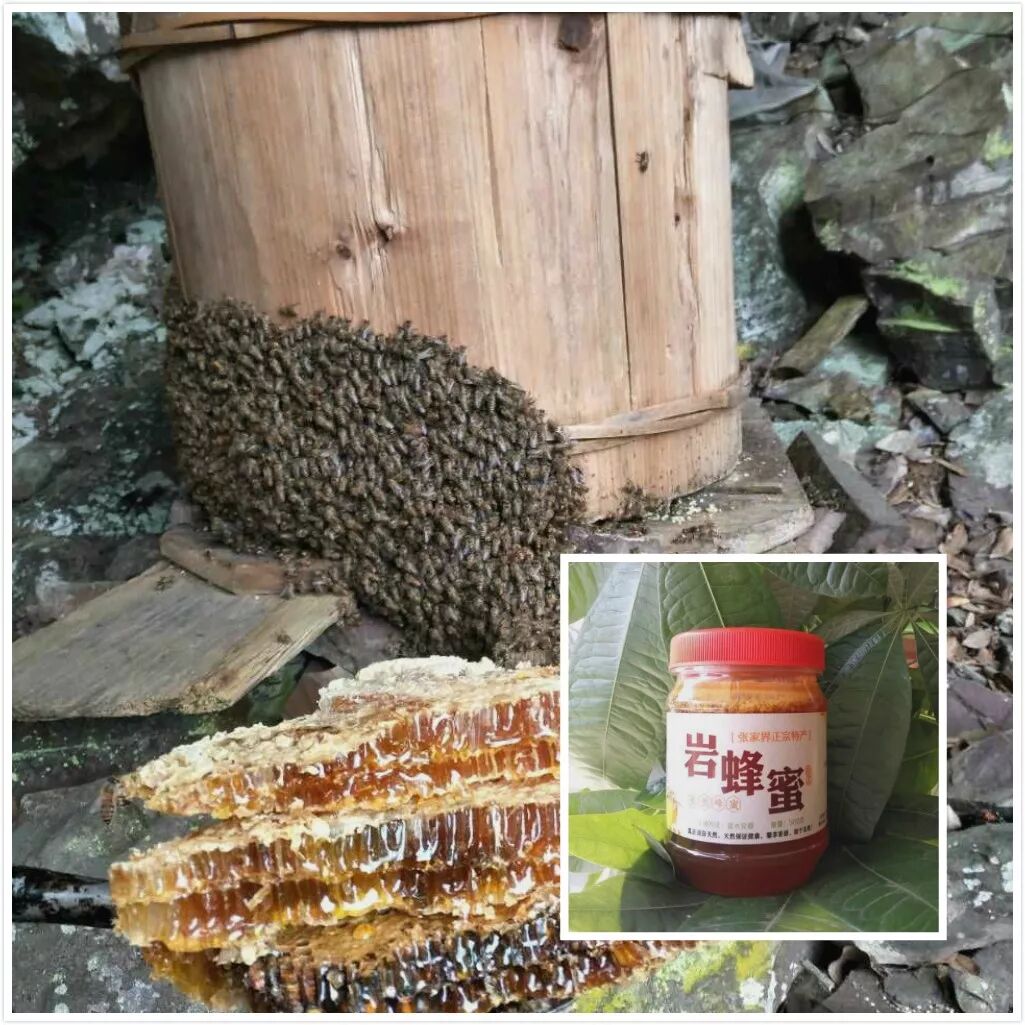 农产品检测项目_食用农产品质量安全快速检测体系_张家界市食用农产品每日快速检测