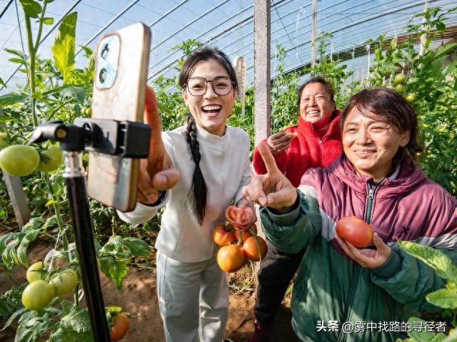 农村创业新风口：农村电商与冷链物流，低成本赚钱机会多