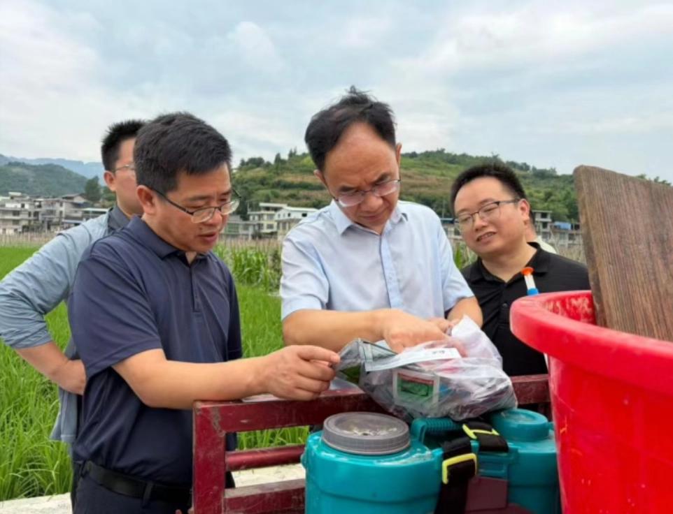 赤水市荔枝农残治理_贵州农产品质量安全监管_贵州特色农产品