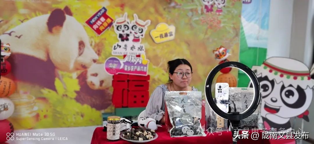 文县电商助农直播 柳青山珍来了 陇南农产品电商销售_陇南市农产品电子商务