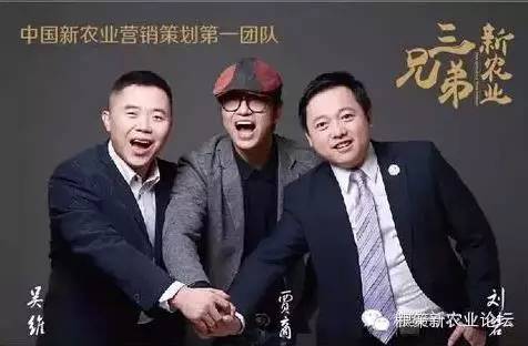 新鲜蔬菜包装设计_农产品包装设计策略_农产品宣传册