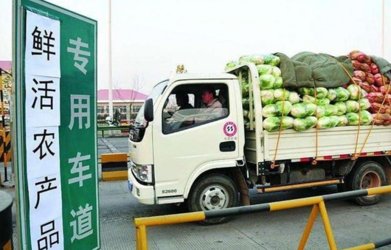 绿通高速免费标准_农产品运输免过路费吗_绿通运输鲜活农产品要求