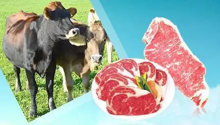 农产品电子交易哪个好_通辽肉牛电子交易平台_中国通辽农产品电子交易平台