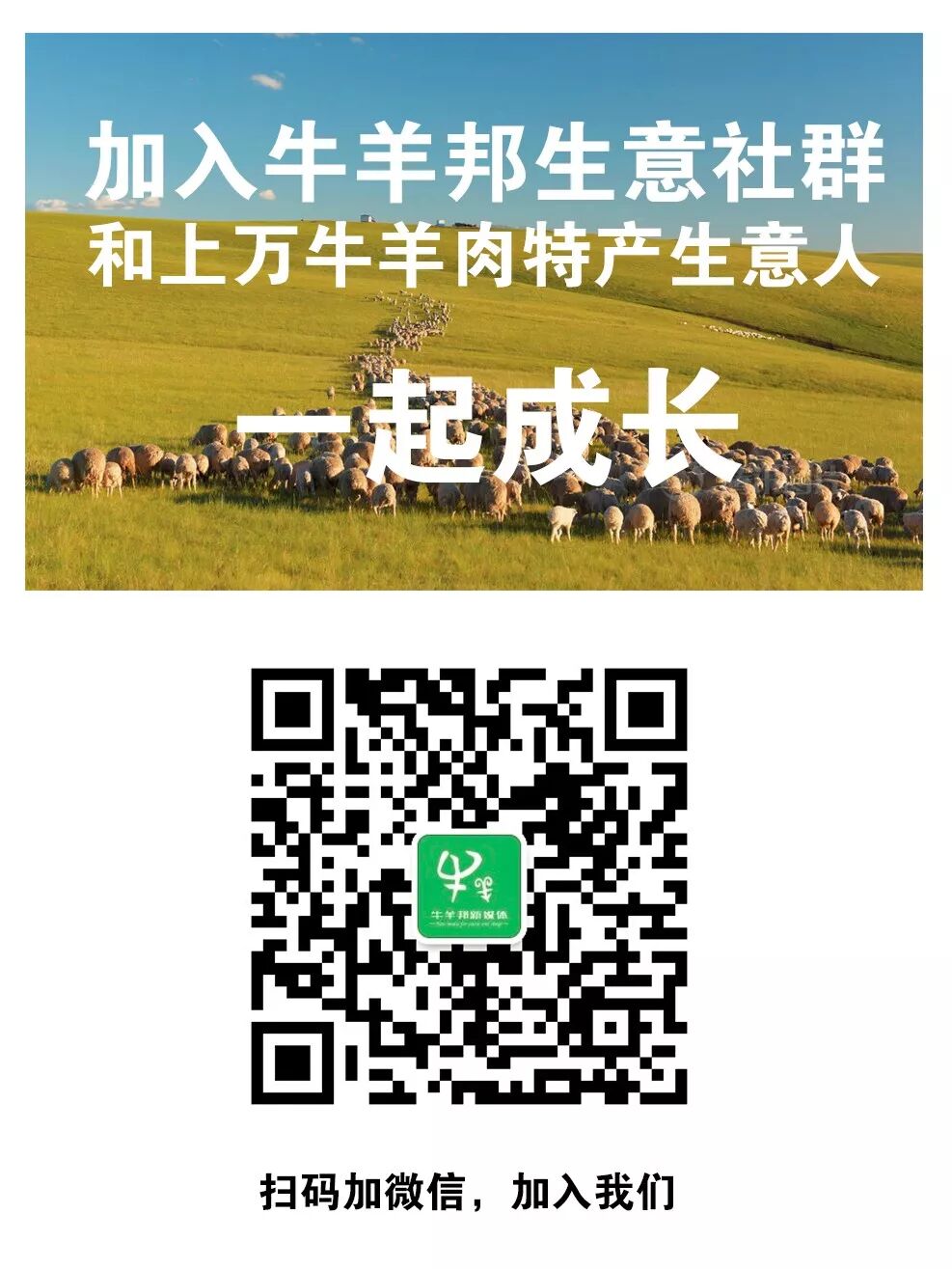 通辽肉牛电子交易平台_中国通辽农产品电子交易平台_农产品电子交易哪个好