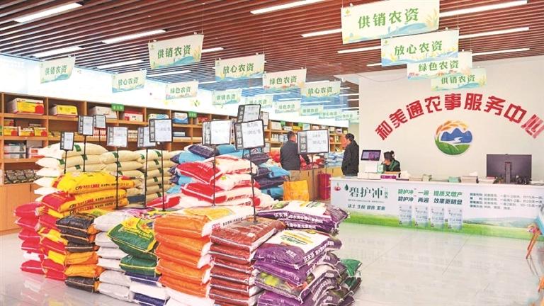 贵州省农产品统计报告_贵州省供销合作社农产品销售_贵州省供销合作社农业社会化服务