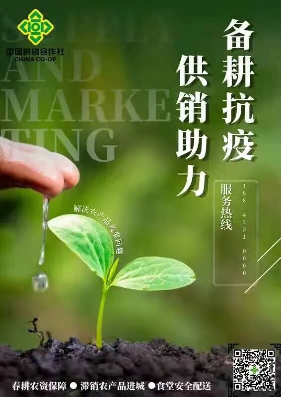 那里有滞销农产品出售_锦州市供销为农服务有限公司 农产品滞销解决方案 锦州市沐农供销有限公司 春耕农资保供