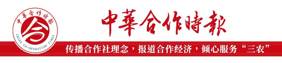 那里有滞销农产品出售_永安市通世达便民服务平台农产品销售_福建省农产品滞销供销社解决方案