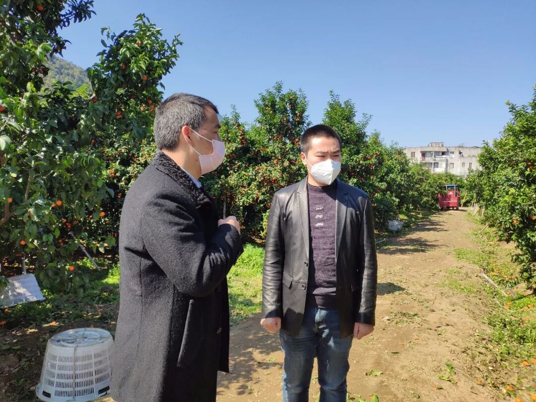 那里有滞销农产品出售_福建省农产品滞销供销社解决方案_永安市通世达便民服务平台农产品销售