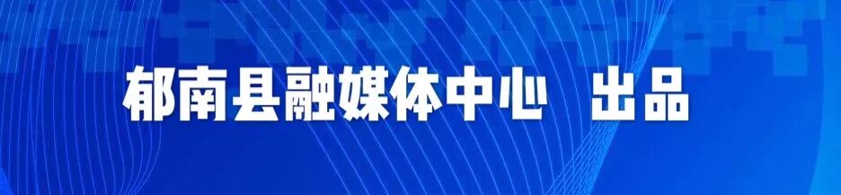 中宏农业发展有限公司线上销售平台_农产品电商特色_郁南农产品电商产业园
