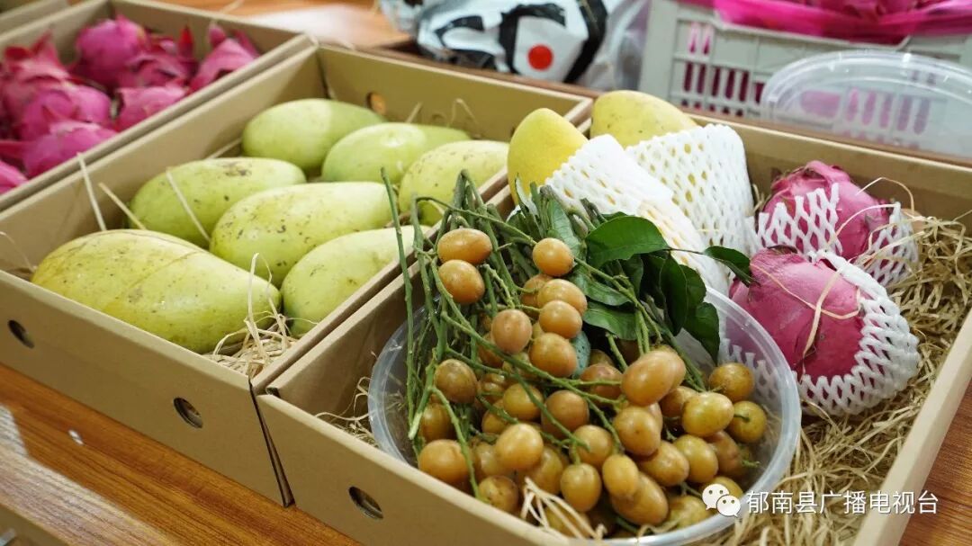 郁南农产品电商产业园_中宏农业发展有限公司线上销售平台_农产品电商特色