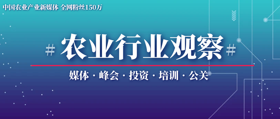 农产品电商发展趋势_农产品电商市场规模_农产品电商特色