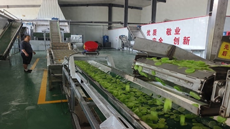 农产品招商新机遇：南古镇诚邀企业投资，共享乡村振兴红利