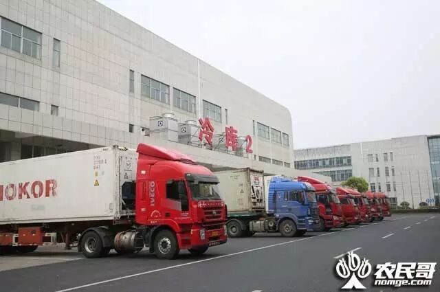 三亚芒果长三角推介会_三亚芒果西郊国际农产品交易中心_上海西郊国际农产品交易中心