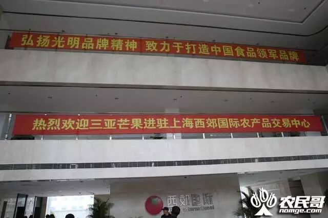 上海西郊国际农产品交易中心_三亚芒果西郊国际农产品交易中心_三亚芒果长三角推介会