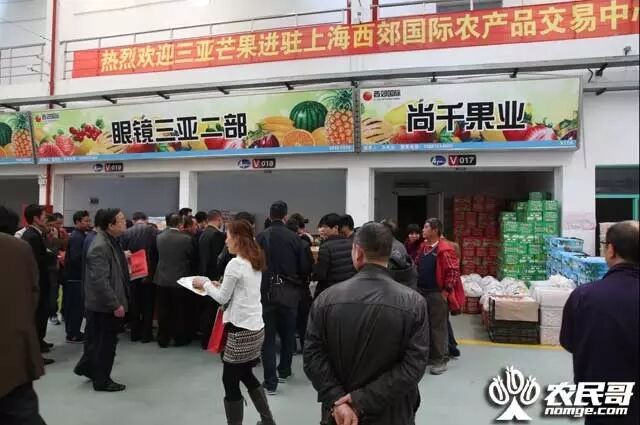 三亚芒果长三角推介会_上海西郊国际农产品交易中心_三亚芒果西郊国际农产品交易中心